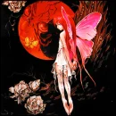 fairy 