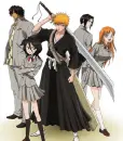 Bleach