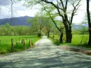 Cades Cove National Park- Tennessee