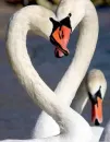 !!!!!!