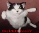 super kitty