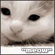 Meow