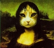 Space Kitty