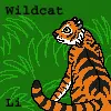Wildcat