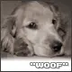 Woof