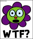 wtf flower