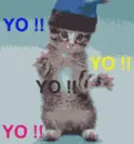 rap kitty