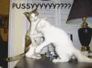 you called me a what?