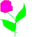rose