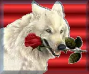 loving wolf
