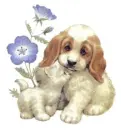 my best friend
