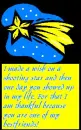 Wish on a shooting star