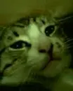 just dropping to say hello