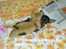 Too Much