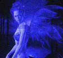 Intrigued by the night