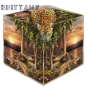 Leopard in a box for Brittany