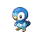 piplup