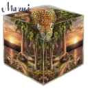Leopard in a box for Mazni