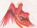 tears of the phenix