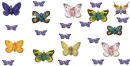 butterflys 