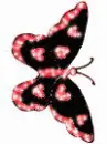 Lovely Butterfly