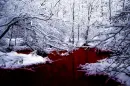 bloody river
