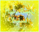 Have A Beautiful Weekend