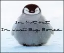 I'm Not Fat,I'm Big Boned (funny)