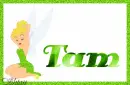 Tam Glitter Tinkerbell