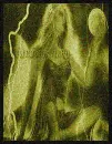 Golden Sorceress