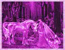 Beautiful Fantasy