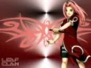 sakura