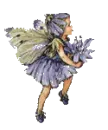 Purple pixy