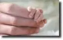 baby grasping adult hand