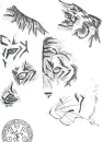 Tiger Bits