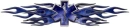 STAR OF LIFE