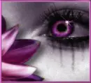 eye