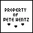 pete wentz