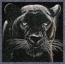 Black Panther
