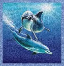 Beautiful Dolphins