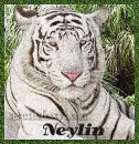 Neylin