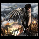 wings