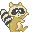 racoon
