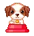 toyboxpix