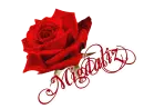 Red Rose with name Migdaliz