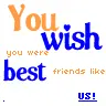 you wish