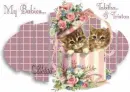 Kitten's at play.. (her babies Tabitha & Tristan)