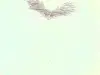 Sailor Moon Fly