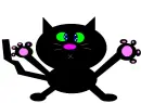 black screen touching kitten