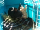 brother and sister<3